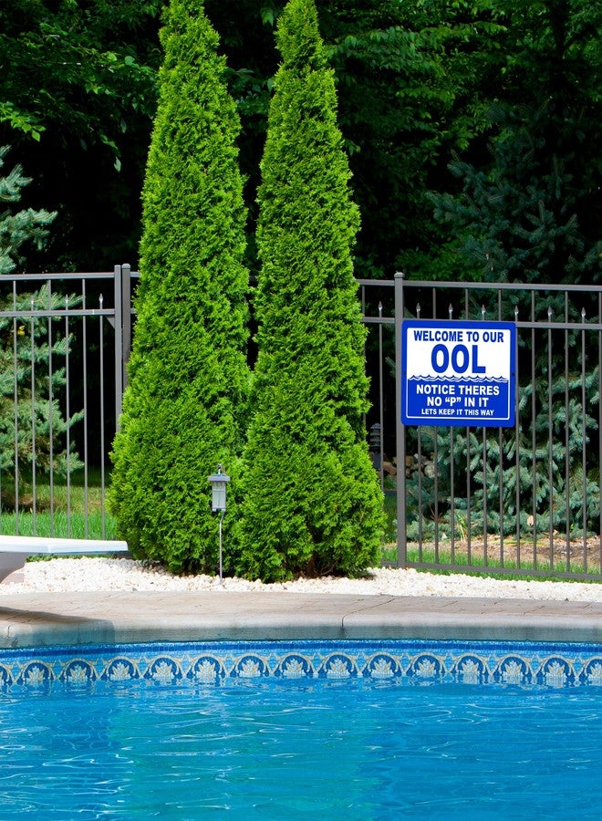 DAJDC Funny Swimming Pool Sign Metal Tin Sign Indoor Outdoor No P Pee in Pool OOL Swim Sarcastic Joke For Fence - Image 2